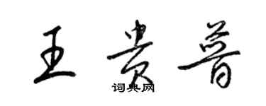 梁锦英王贵普草书个性签名怎么写