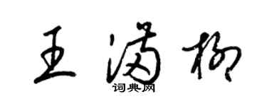 梁锦英王满柳草书个性签名怎么写