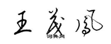 梁锦英王茂凤草书个性签名怎么写