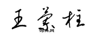 梁锦英王兰柱草书个性签名怎么写