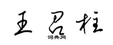 梁锦英王召柱草书个性签名怎么写