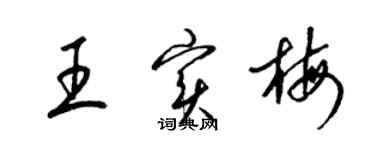 梁锦英王实梅草书个性签名怎么写
