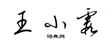 梁锦英王小霞草书个性签名怎么写
