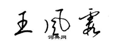梁锦英王风霞草书个性签名怎么写
