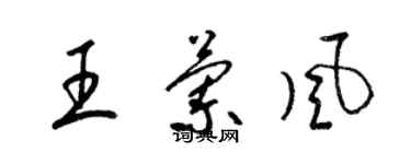 梁锦英王兰风草书个性签名怎么写