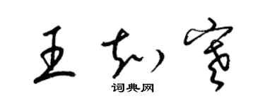 梁锦英王知寒草书个性签名怎么写