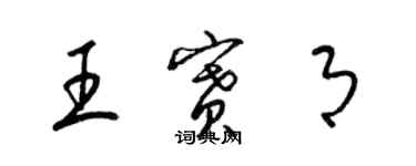 梁锦英王赛月草书个性签名怎么写