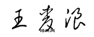 梁锦英王麦浪草书个性签名怎么写