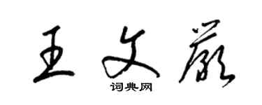 梁锦英王文严草书个性签名怎么写