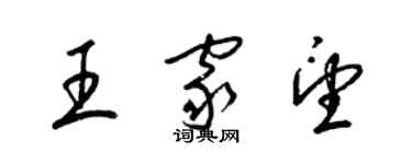 梁锦英王家望草书个性签名怎么写