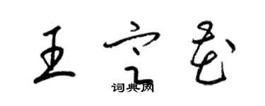 梁锦英王定花草书个性签名怎么写