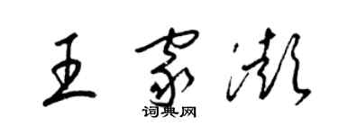 梁锦英王家澎草书个性签名怎么写