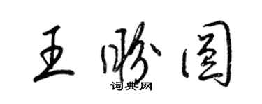 梁锦英王盼圆草书个性签名怎么写