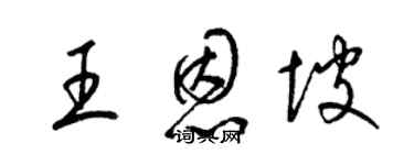 梁锦英王恩坡草书个性签名怎么写