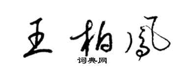 梁锦英王柏凤草书个性签名怎么写