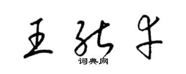 梁锦英王能幸草书个性签名怎么写