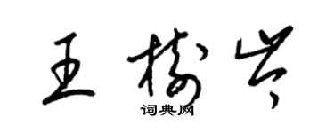 梁锦英王树岑草书个性签名怎么写