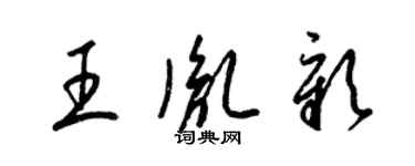 梁锦英王胤彰草书个性签名怎么写