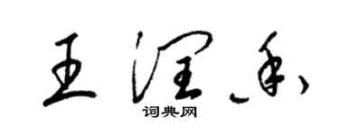 梁锦英王润香草书个性签名怎么写