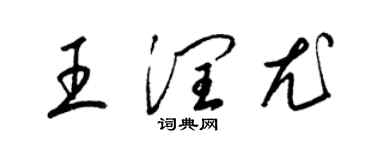 梁锦英王润尤草书个性签名怎么写