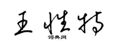 梁锦英王性特草书个性签名怎么写