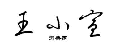 梁锦英王小宣草书个性签名怎么写