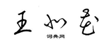 梁锦英王北花草书个性签名怎么写