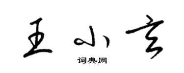 梁锦英王小玄草书个性签名怎么写
