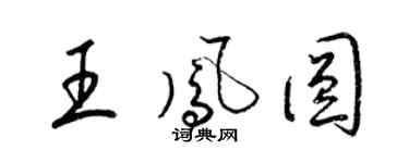 梁锦英王凤圆草书个性签名怎么写