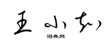 梁锦英王小知草书个性签名怎么写