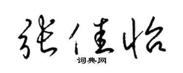 梁锦英张佳怡草书个性签名怎么写