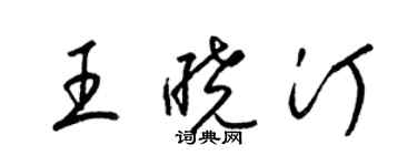 梁锦英王晓汀草书个性签名怎么写