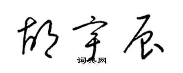 梁锦英胡宇辰草书个性签名怎么写