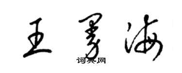 梁锦英王曼海草书个性签名怎么写