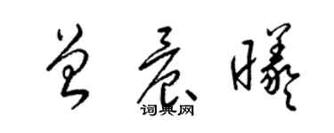 梁锦英曾晨曦草书个性签名怎么写