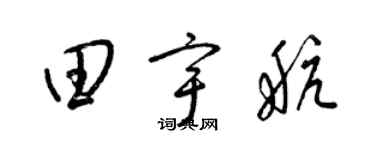梁锦英田宇航草书个性签名怎么写