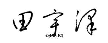 梁锦英田宇泽草书个性签名怎么写