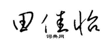 梁锦英田佳怡草书个性签名怎么写