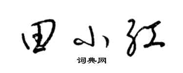 梁锦英田小红草书个性签名怎么写