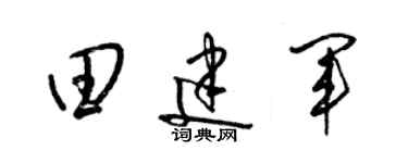 梁锦英田建军草书个性签名怎么写