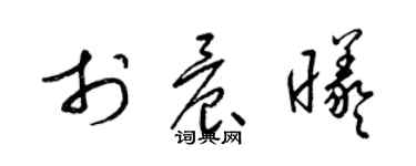 梁锦英于晨曦草书个性签名怎么写