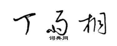 梁锦英丁雨桐草书个性签名怎么写