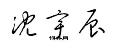 梁锦英沈宇辰草书个性签名怎么写