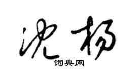 梁锦英沈杨草书个性签名怎么写