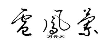 梁锦英卢凤兰草书个性签名怎么写