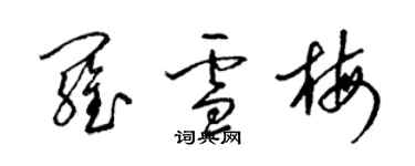 梁锦英罗雪梅草书个性签名怎么写
