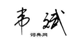 梁锦英韦斌草书个性签名怎么写