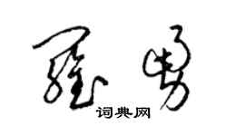 梁锦英罗勇草书个性签名怎么写