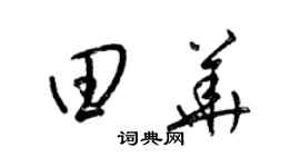 梁锦英田华草书个性签名怎么写