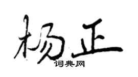 曾庆福杨正行书个性签名怎么写